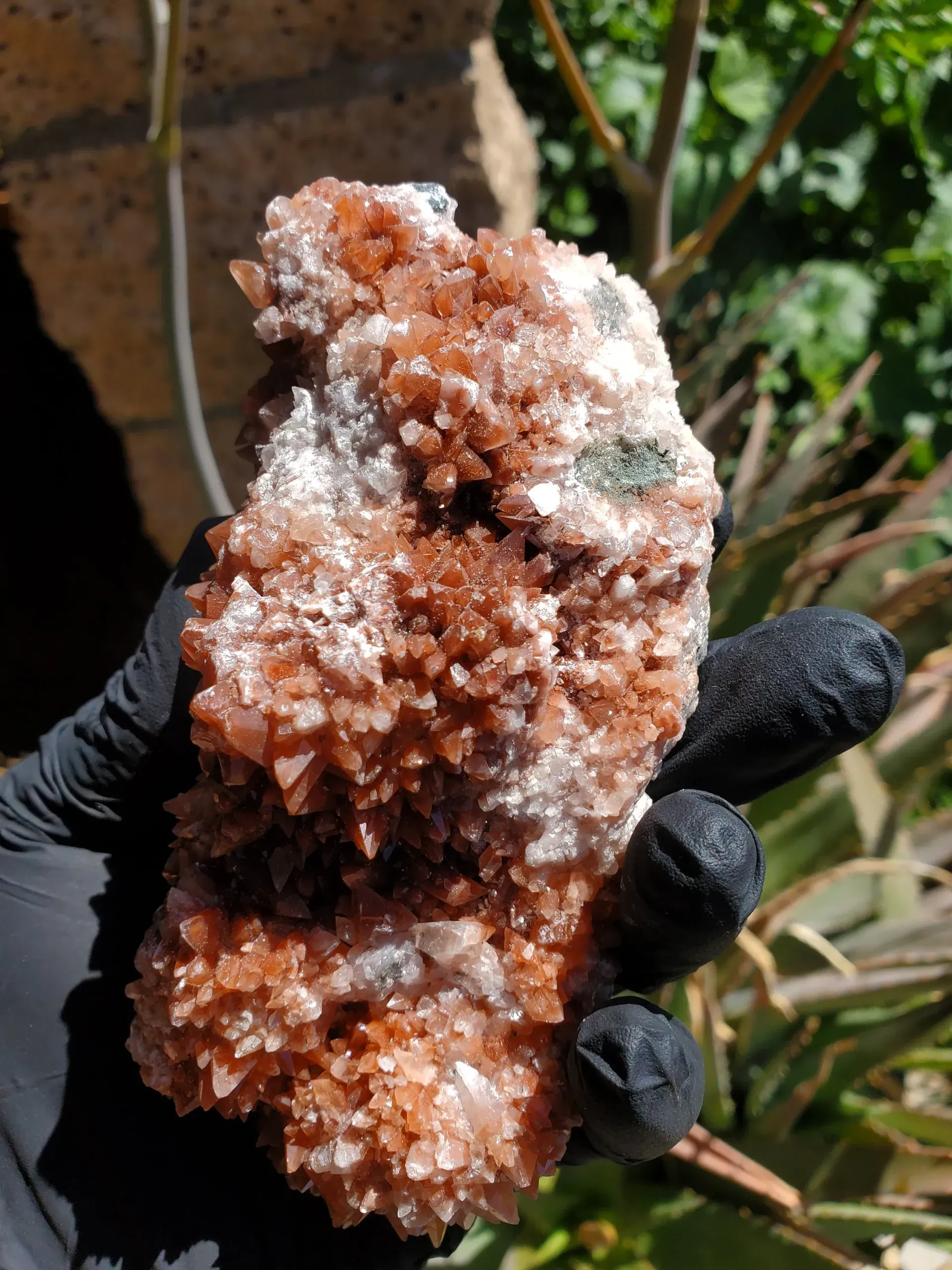 Red Feather Calcite Cluster Mineral Specimen Hubei 446g