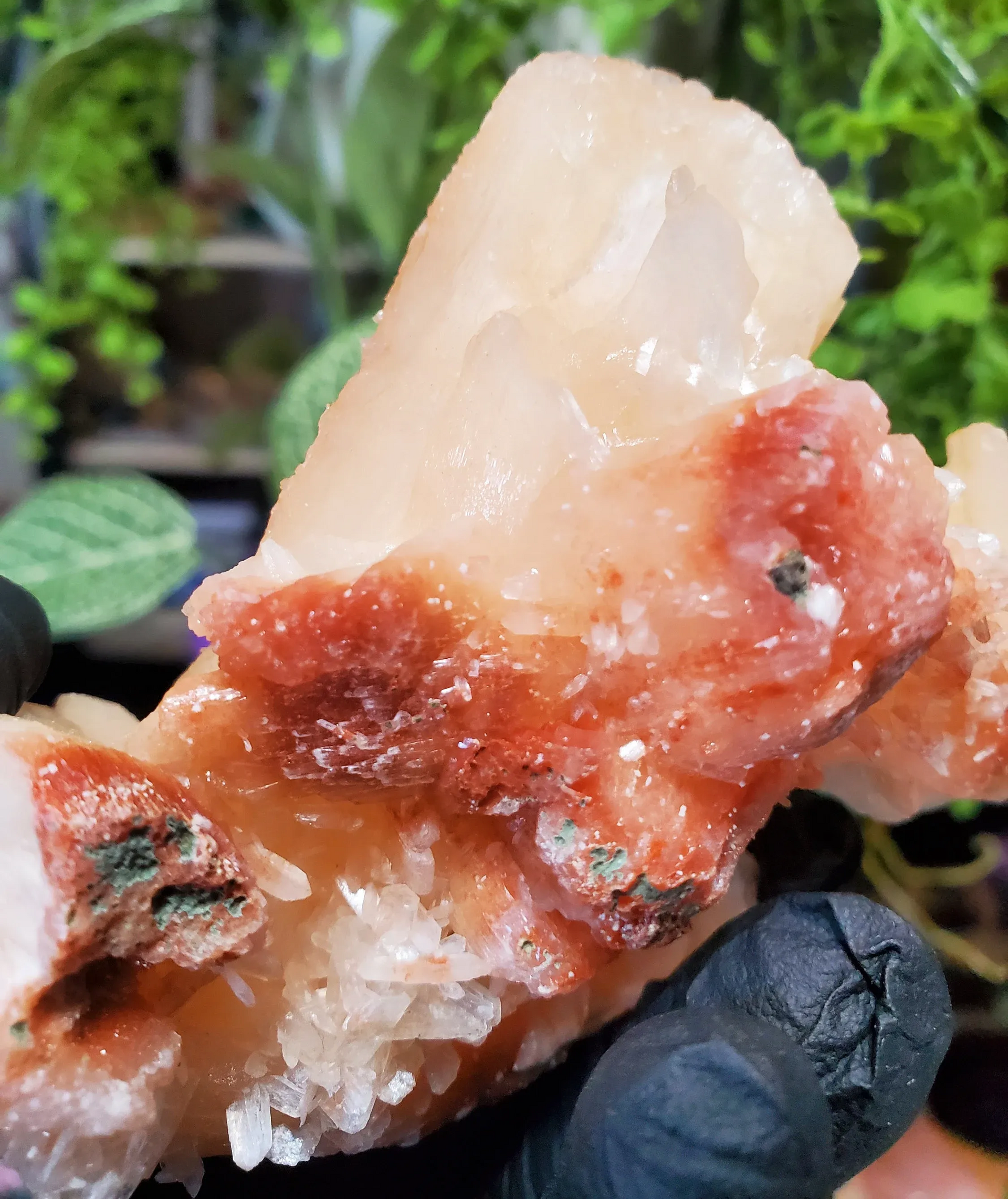 Peach Stilbite 172g India / Peach Stilbite Specimen unique cluster