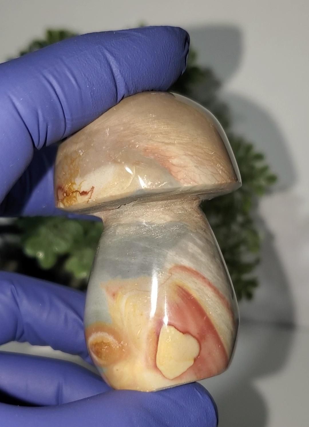 Ocean Jasper Mushroom 128g