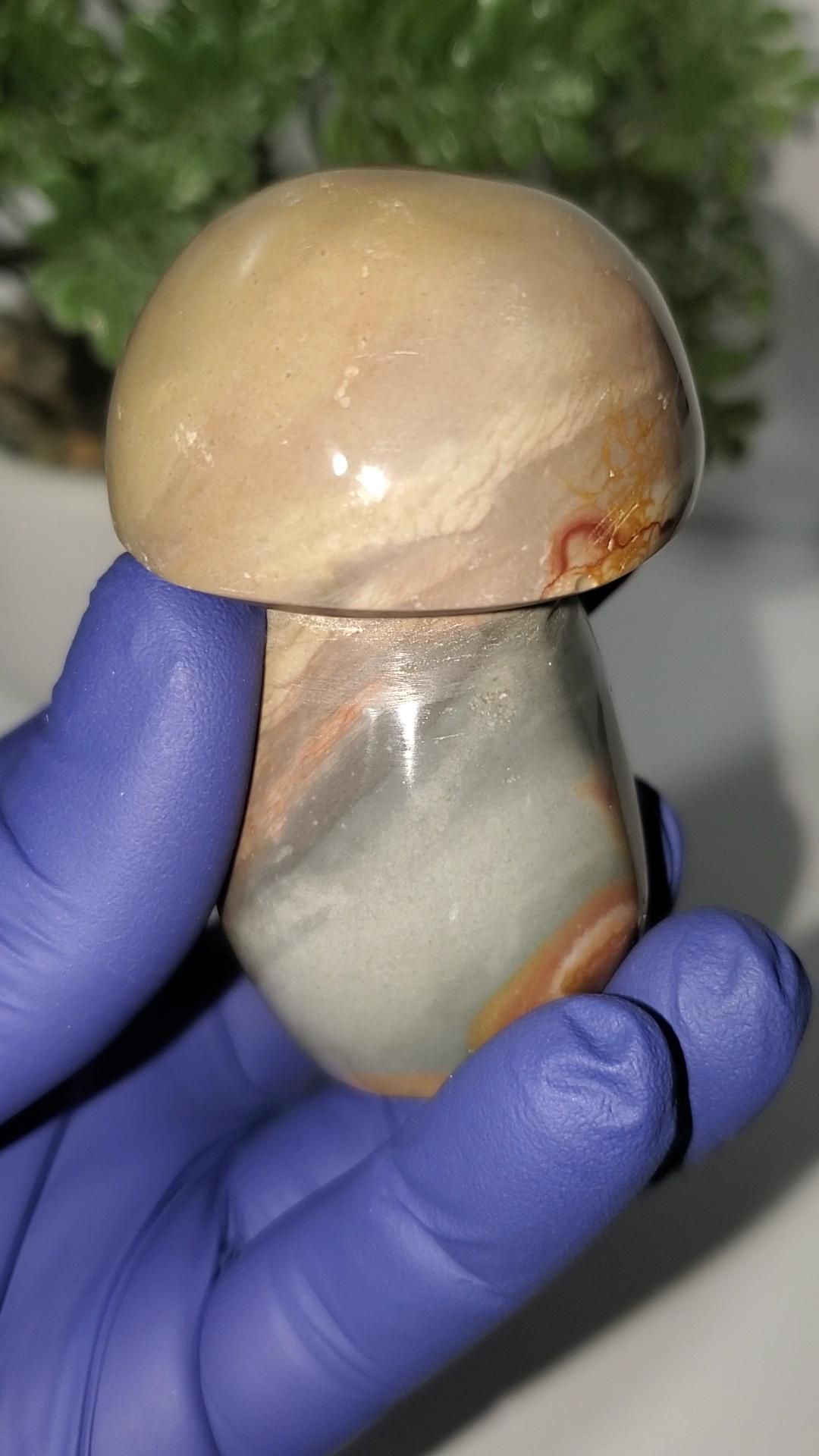 Ocean Jasper Mushroom 128g