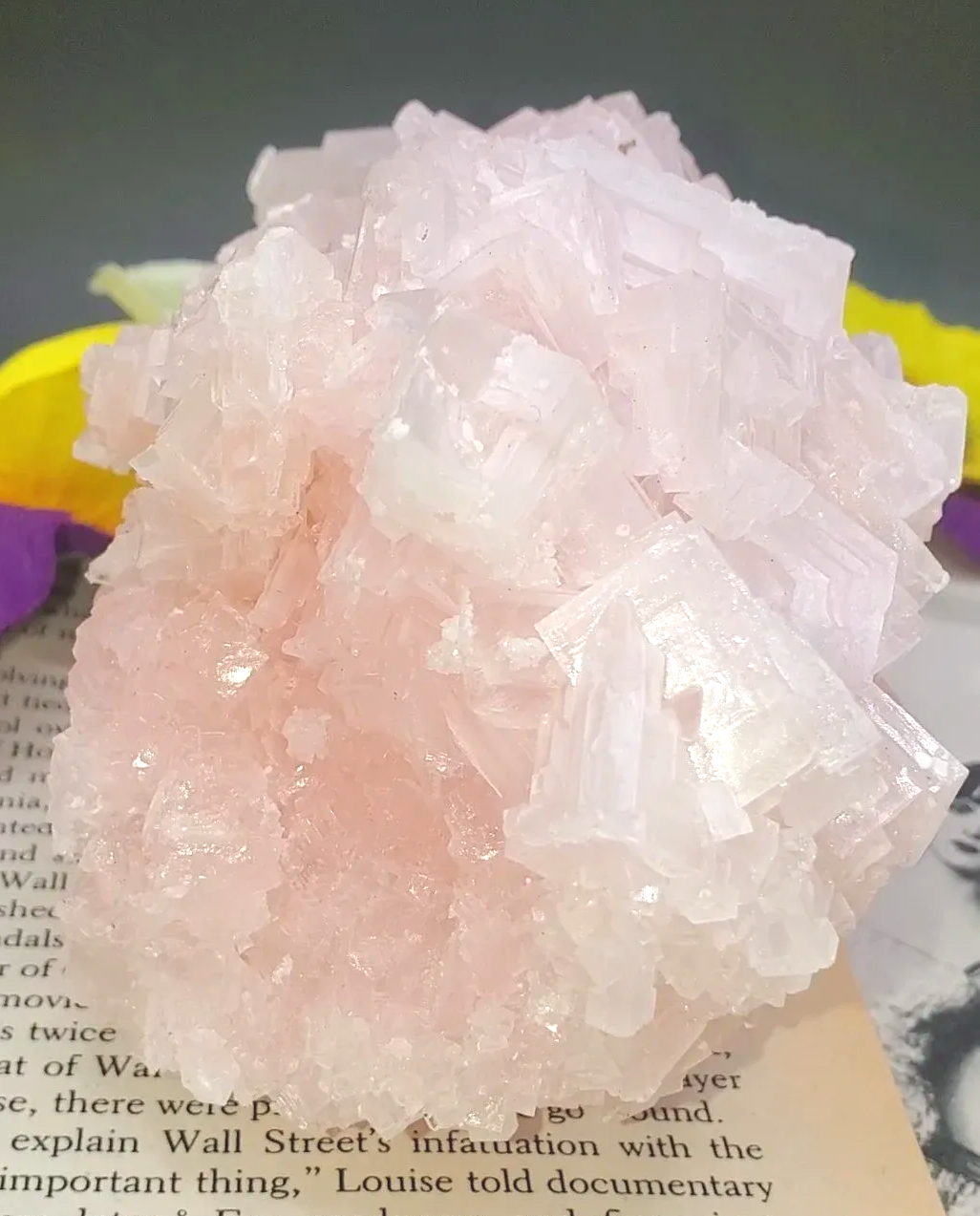 Pink Halite Crystal cluster from California (592g)