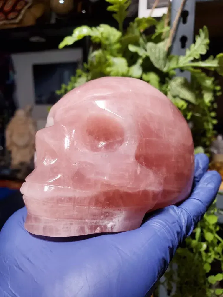 Rose Quartz skull 1lb 4.2oz ( 1.28kg) Hand Carved Rose Quartz skull