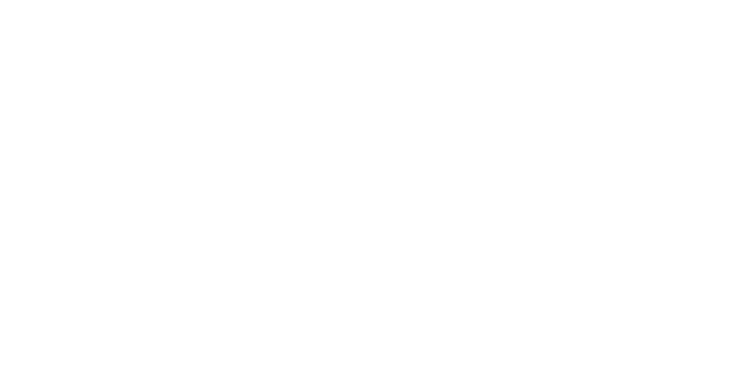 Sticks-n-Stones