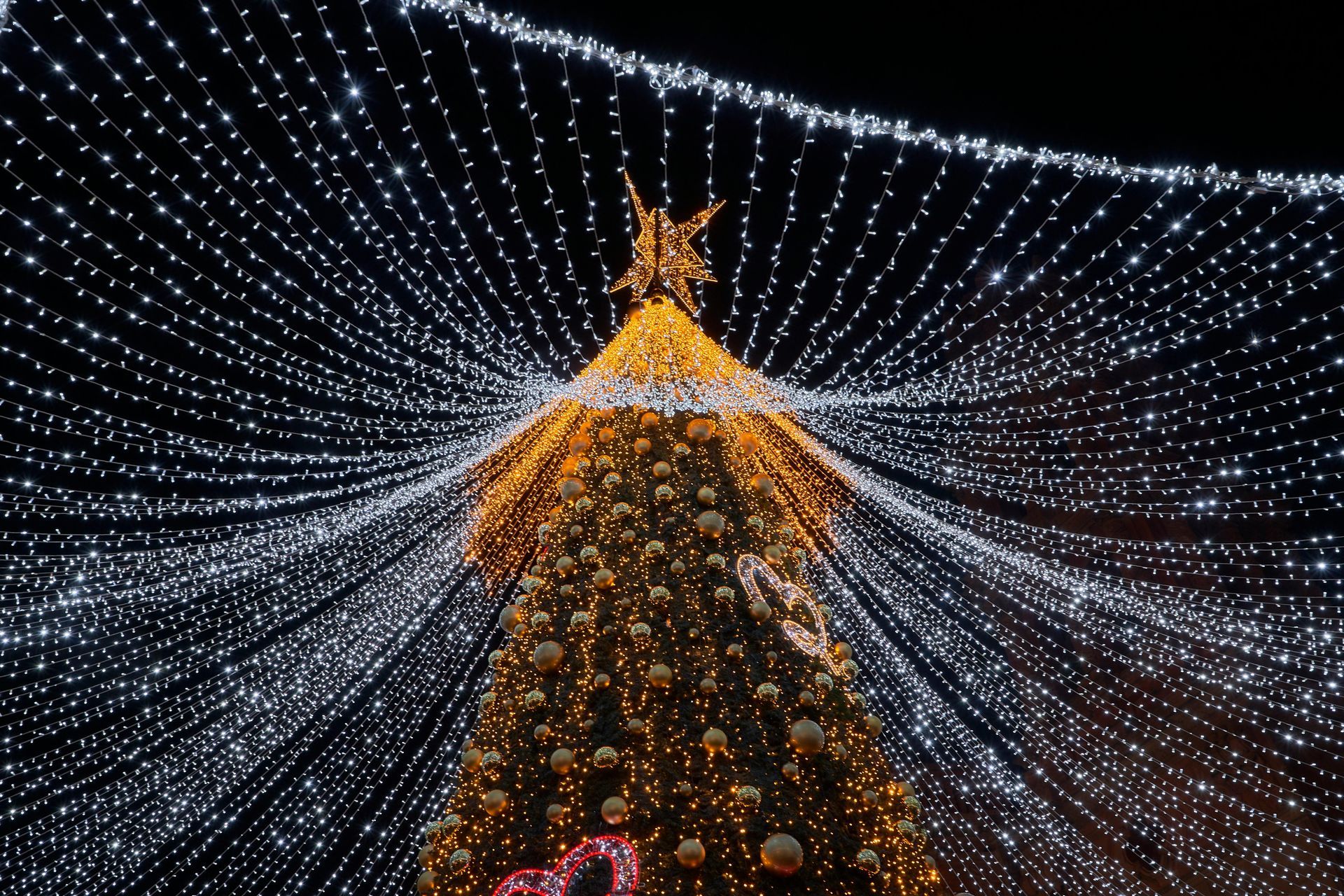 Árbol de Navidad con estrella en la punta, rodeado de hileras de luces blancas contra un cielo nocturno oscuro.
