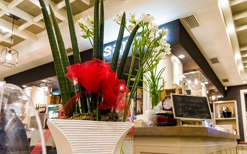 pianta con decorazione rossa