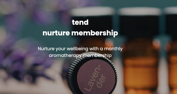 Woman receiving a facial massage at a spa; hands gently pressed on her face, eyes closed.