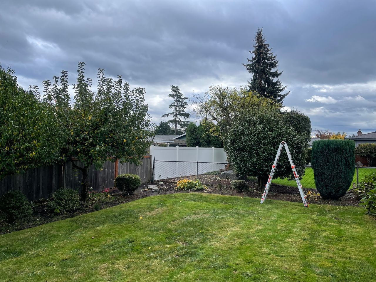 Green lawn with trees and a white fence under a cloudy sky. Ladder in the yard.