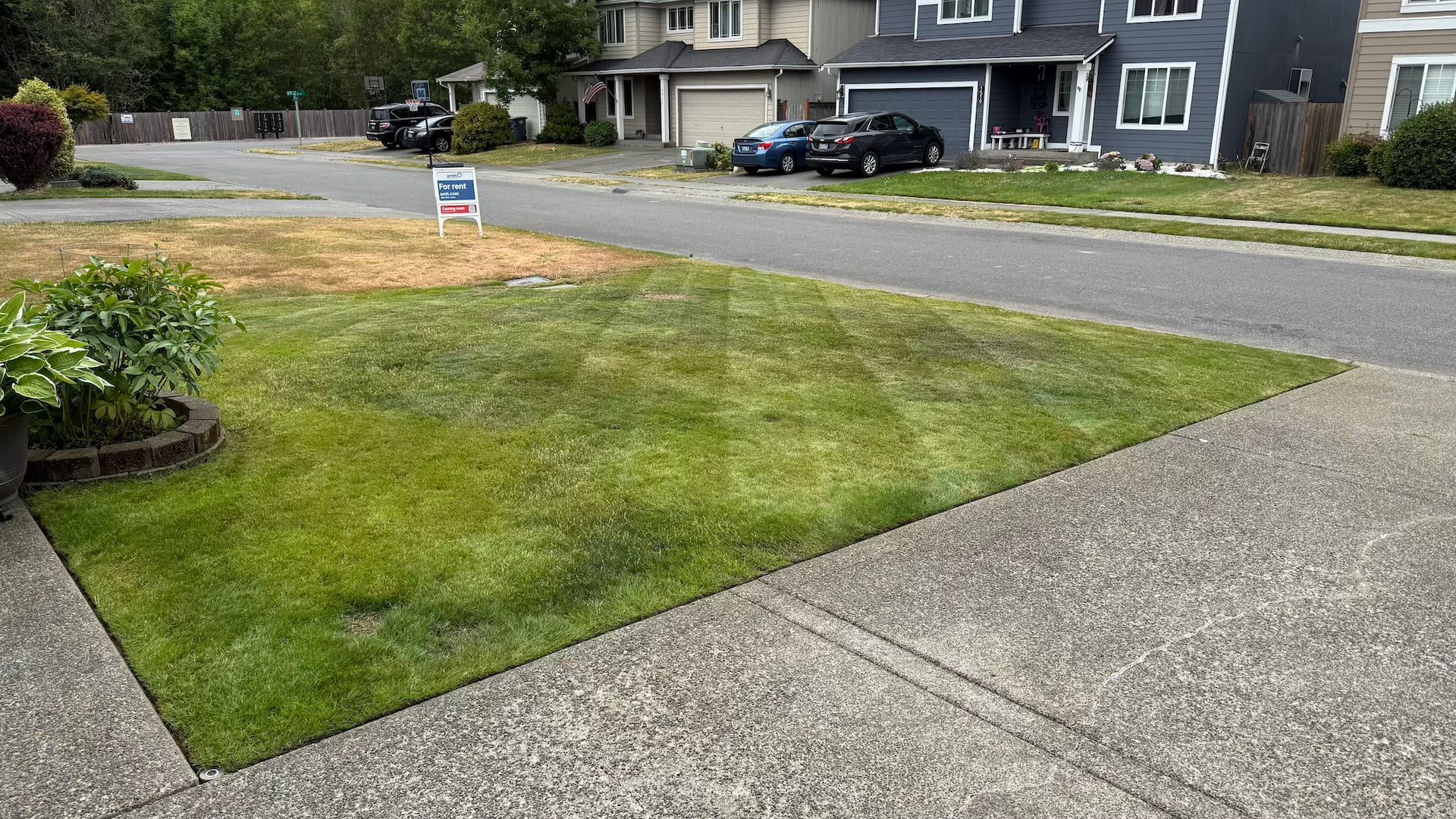 Lawn with green grass, concrete sidewalk, street, houses in the background, and a 