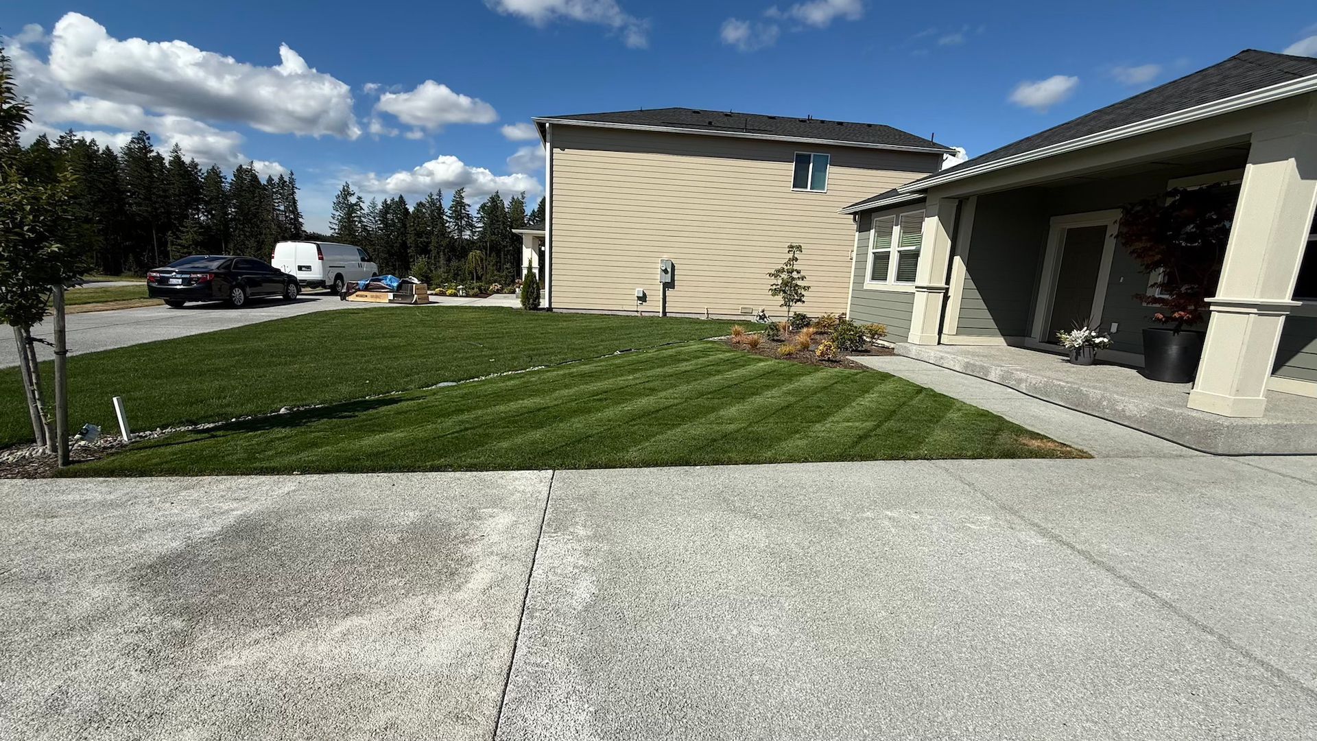 Lawn with mowed stripes in front of a house on a sunny day. A vehicle is in the distance.