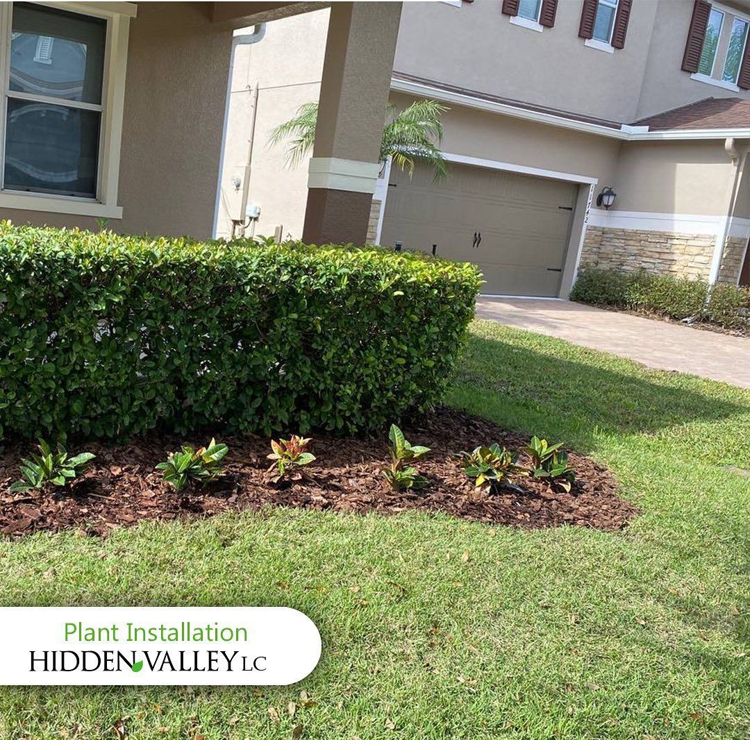 Green manicured lawn with shrubs and mulch bed in front of a tan house with a garage.