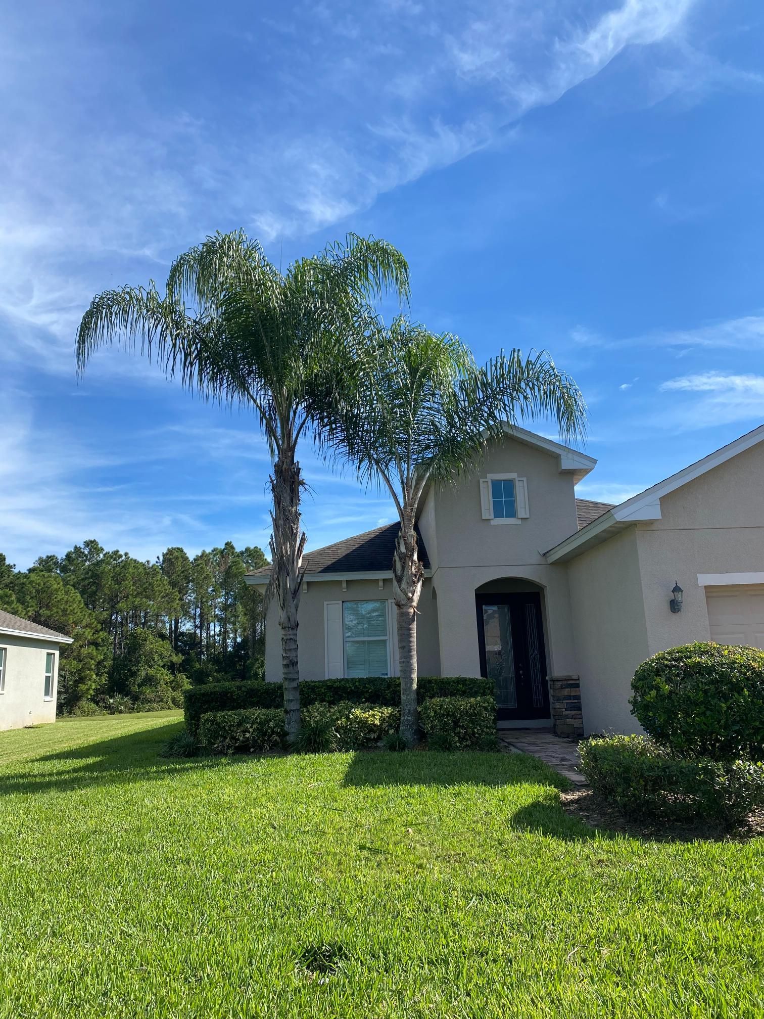 House with palm trees, blue sky, and green lawn.