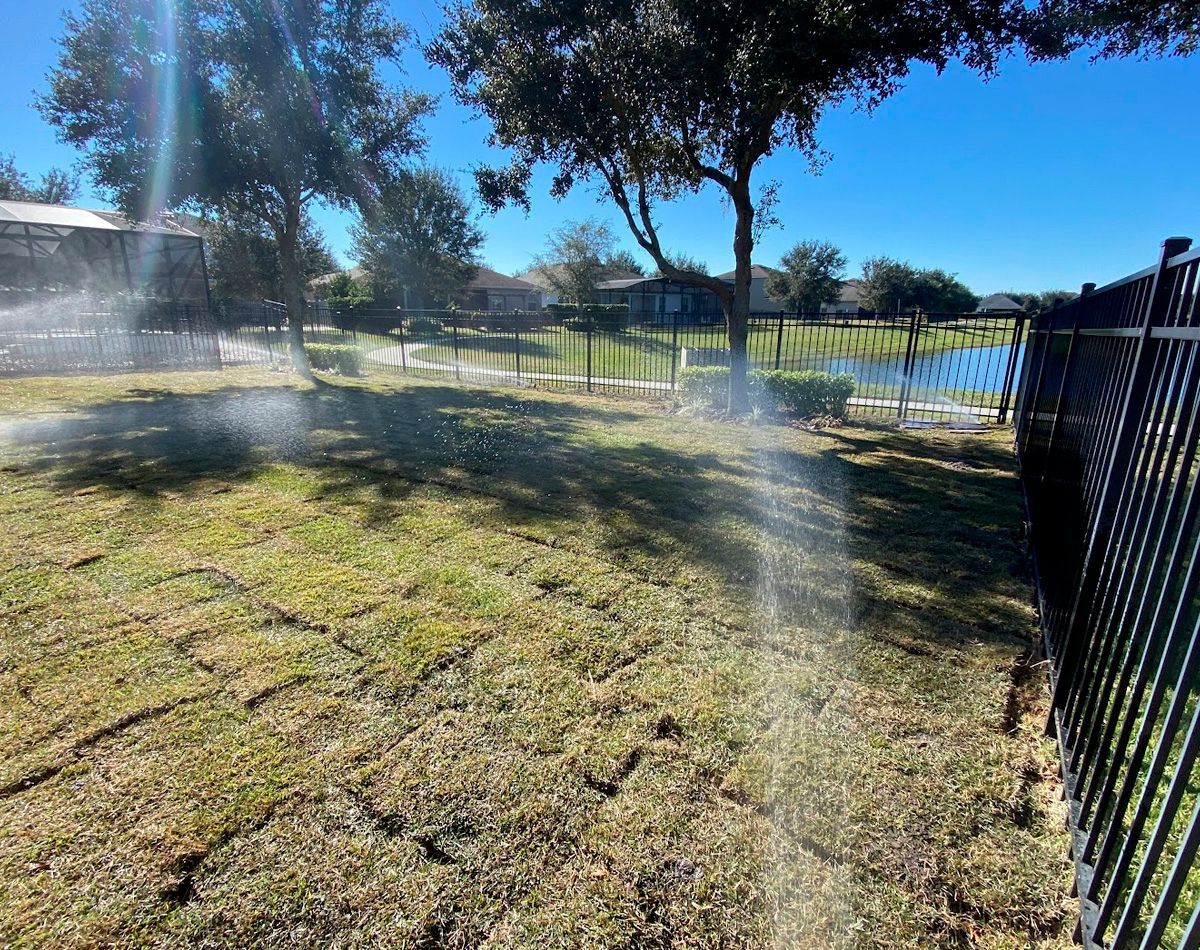 Sprinklers watering dry, brown grass in a yard with a black fence, trees, and houses in the background on a sunny day.