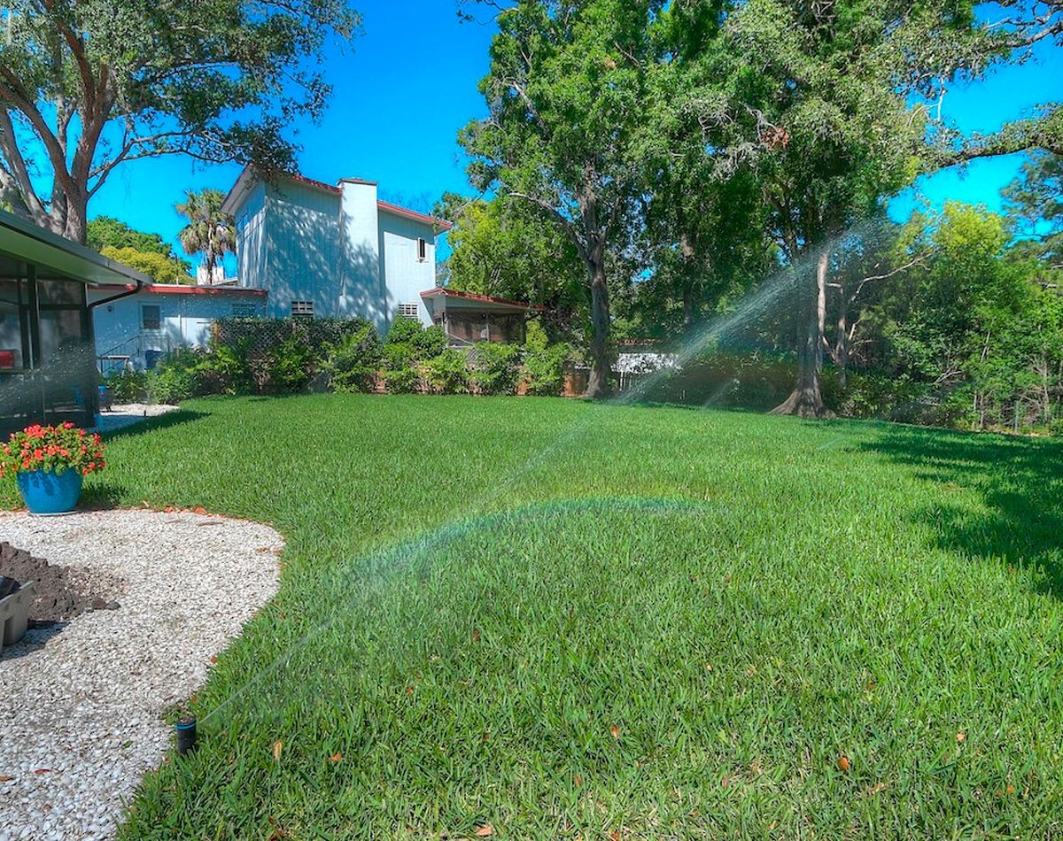 Lush green lawn being watered by a sprinkler under a bright blue sky, with a house and trees in the background.