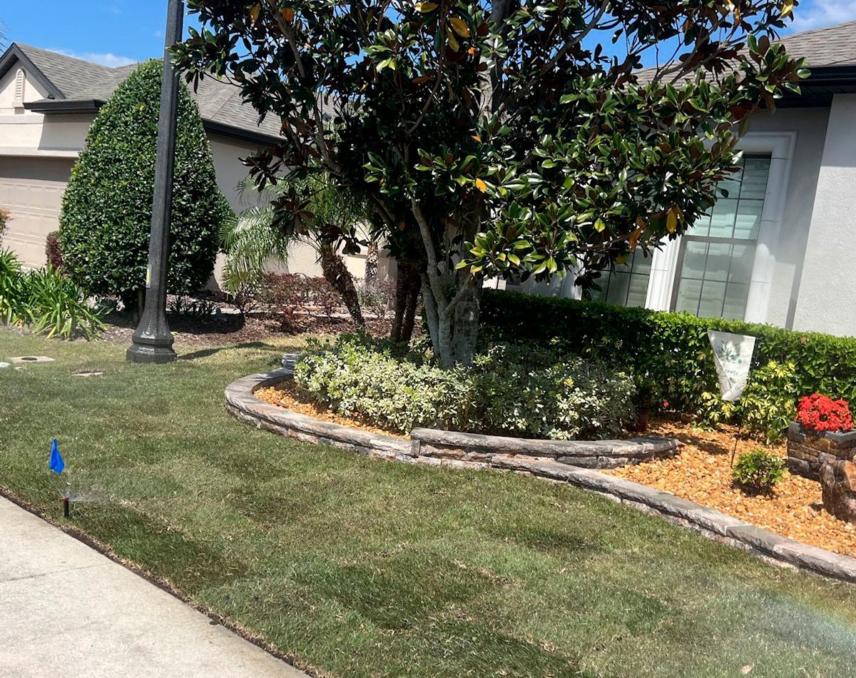 Green lawn with landscaped garden bed, plants, and a tree in front of a house.