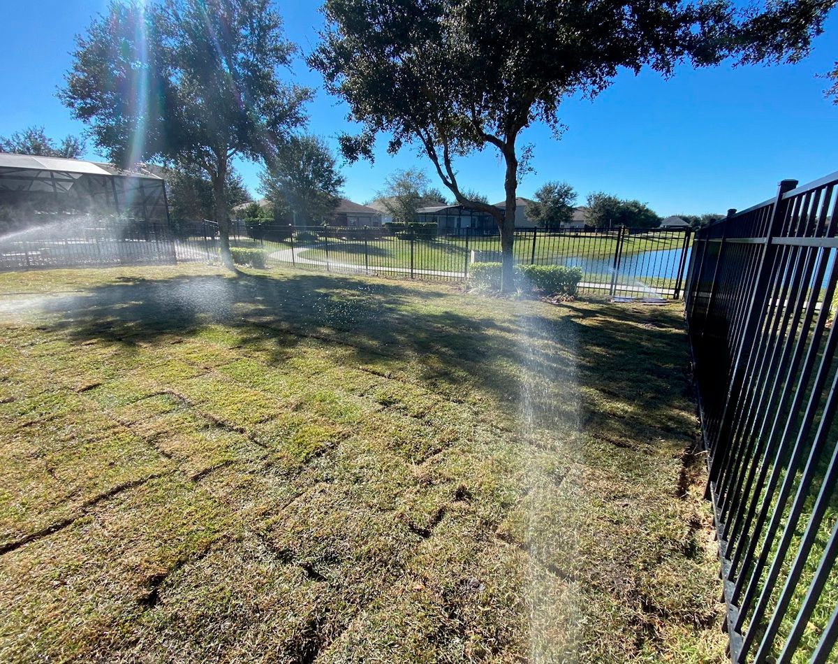 Sprinklers watering dry, patchy grass in a yard, trees and black fence in the background, under a bright blue sky.