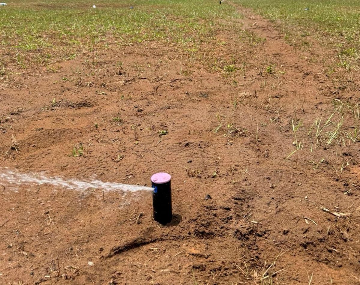A sprinkler sprays water onto dry, reddish-brown soil. A small patch of green grass is in the background.