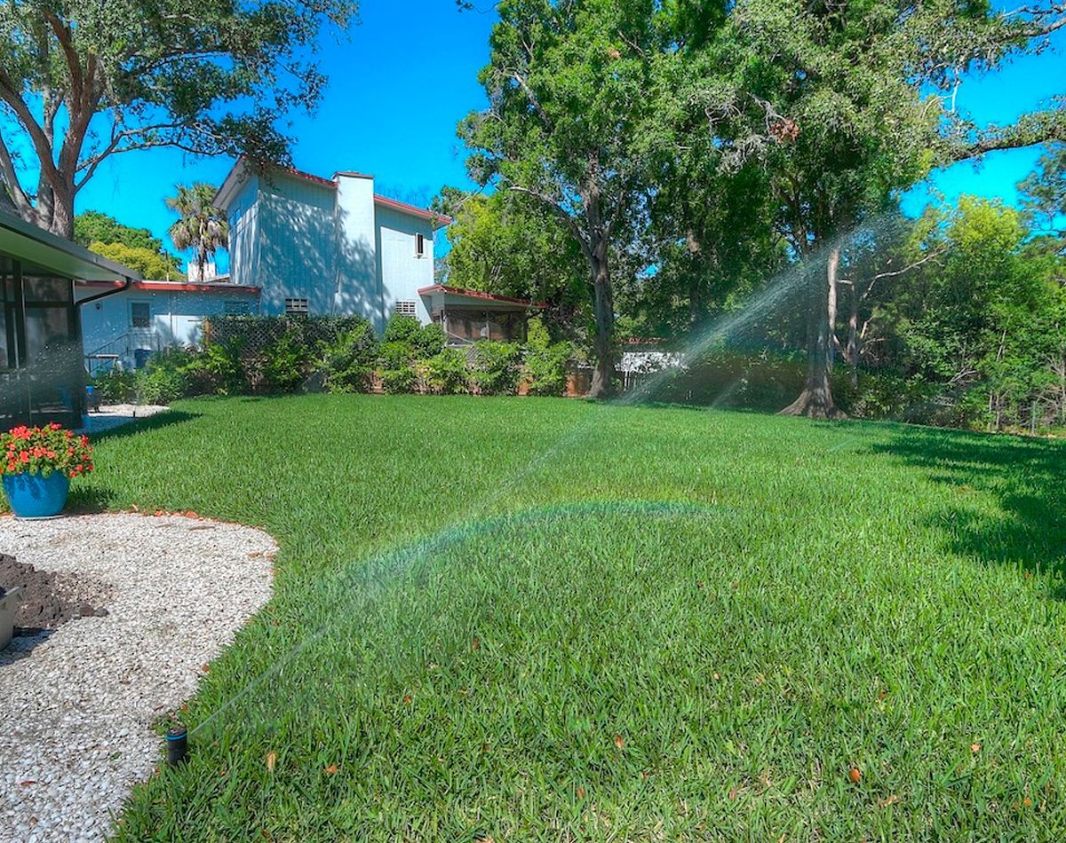 Lush green lawn being watered by sprinkler in a sunny backyard with a house in the background.
