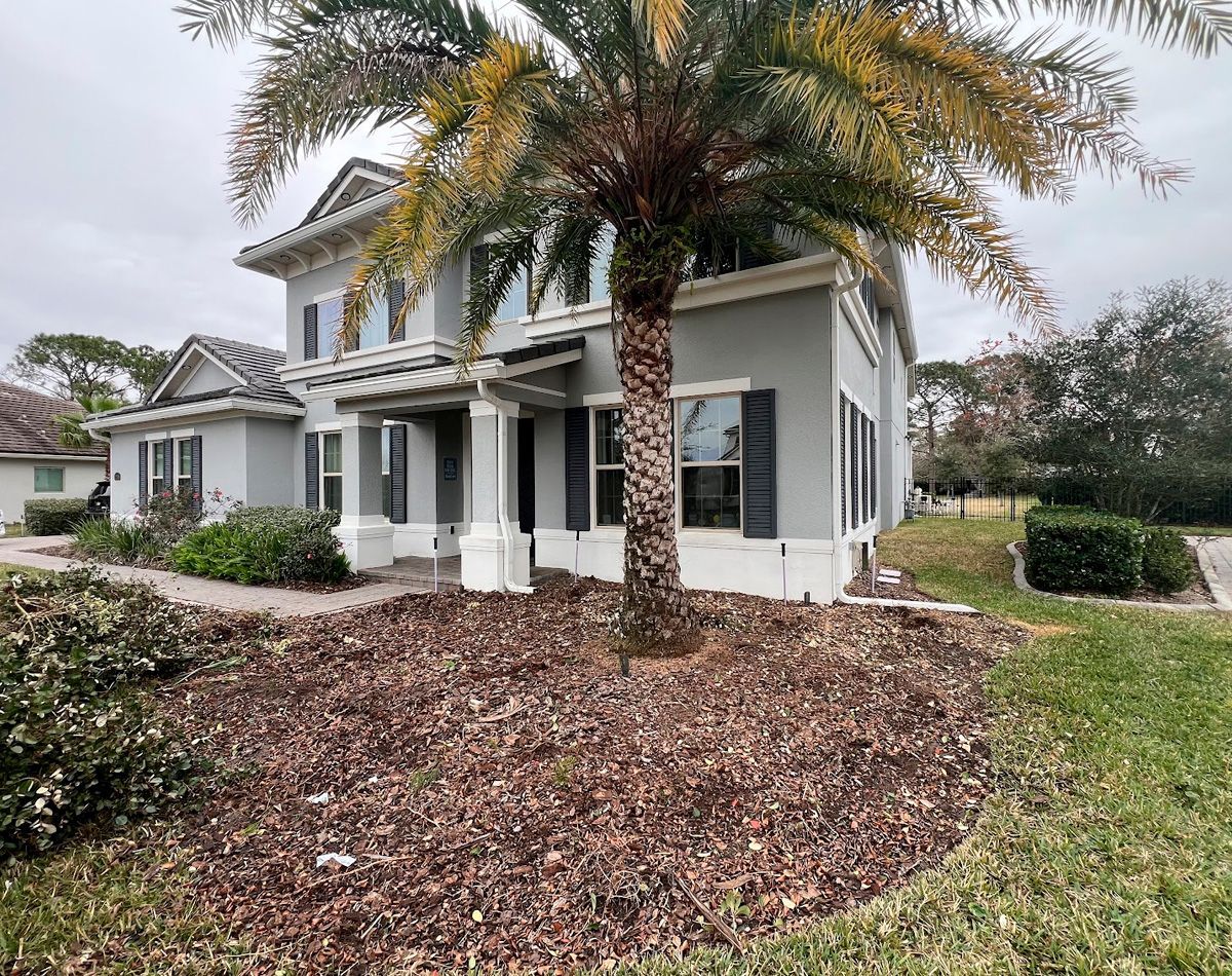 Two-story house with gray stucco, black shutters, and a palm tree in the front yard.