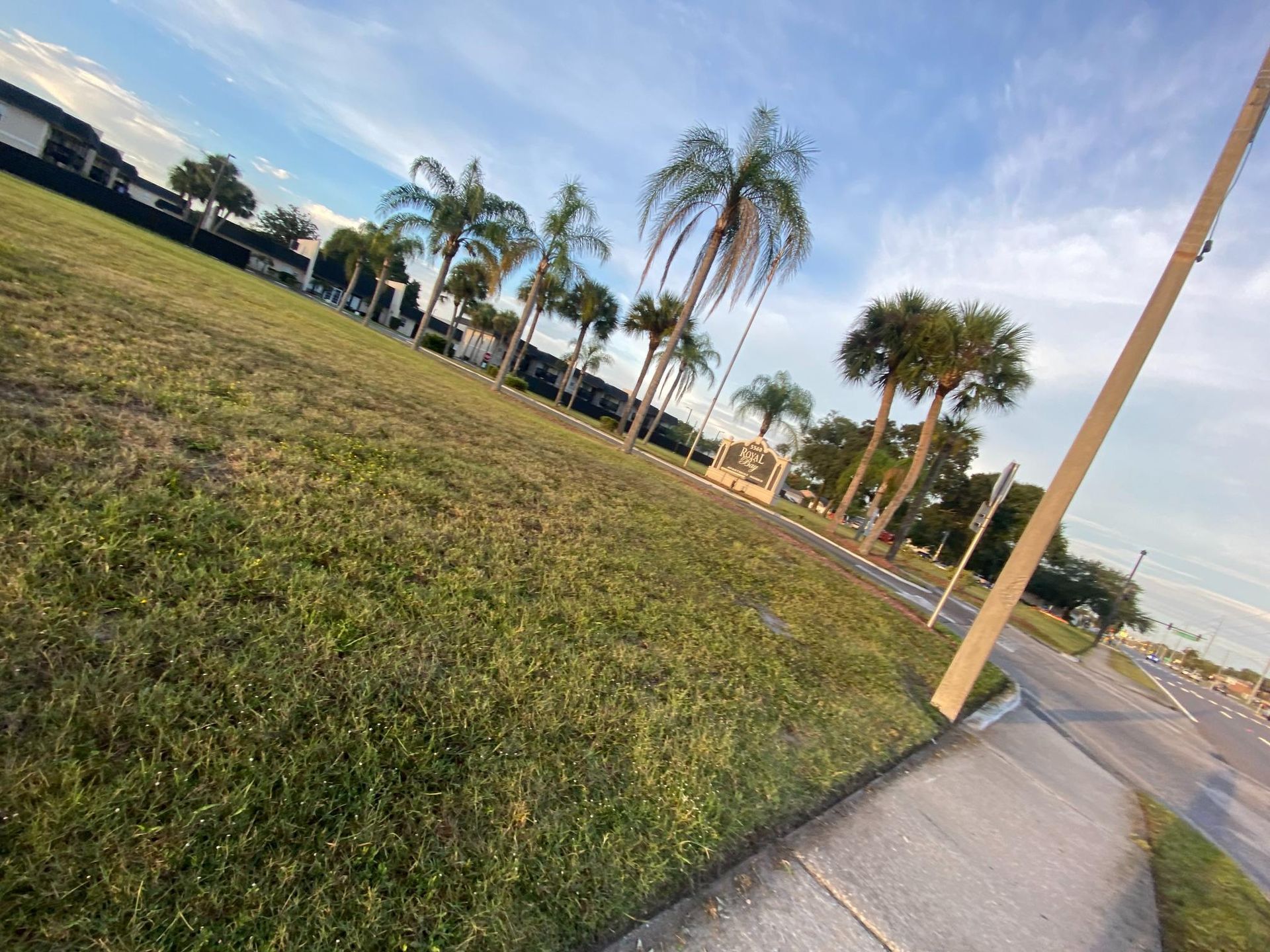 Grassy area with palm trees, a road, and buildings under a cloudy sky.