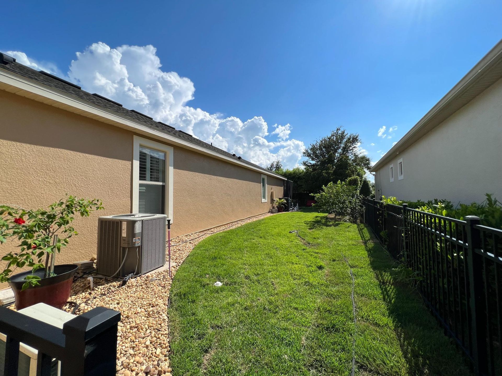 Backyard with green grass, tan house, black fence, and a sunny, blue sky with puffy white clouds.