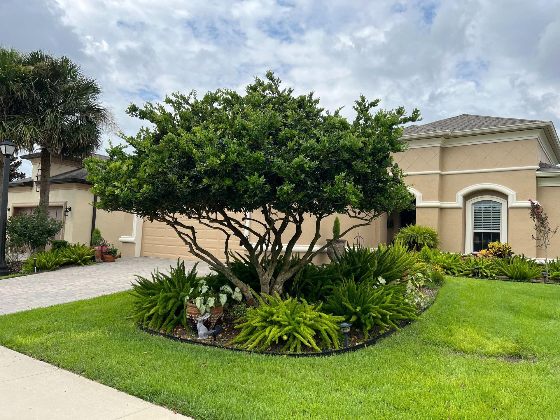 Green tree in front yard, with landscaped garden bed, beige house and cloudy sky background.