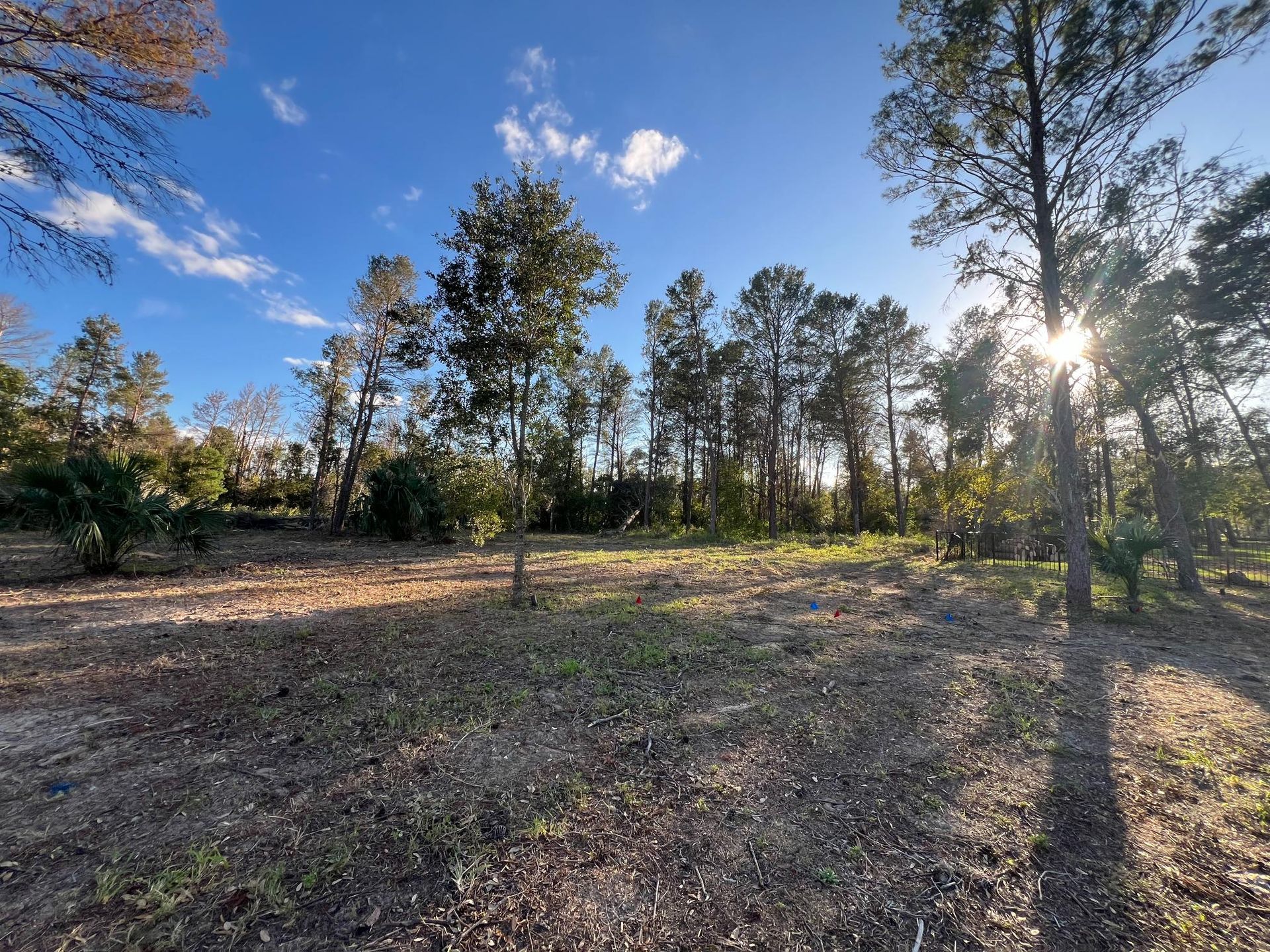Sunlight streams through trees in a clearing with a blue sky and scattered clouds.