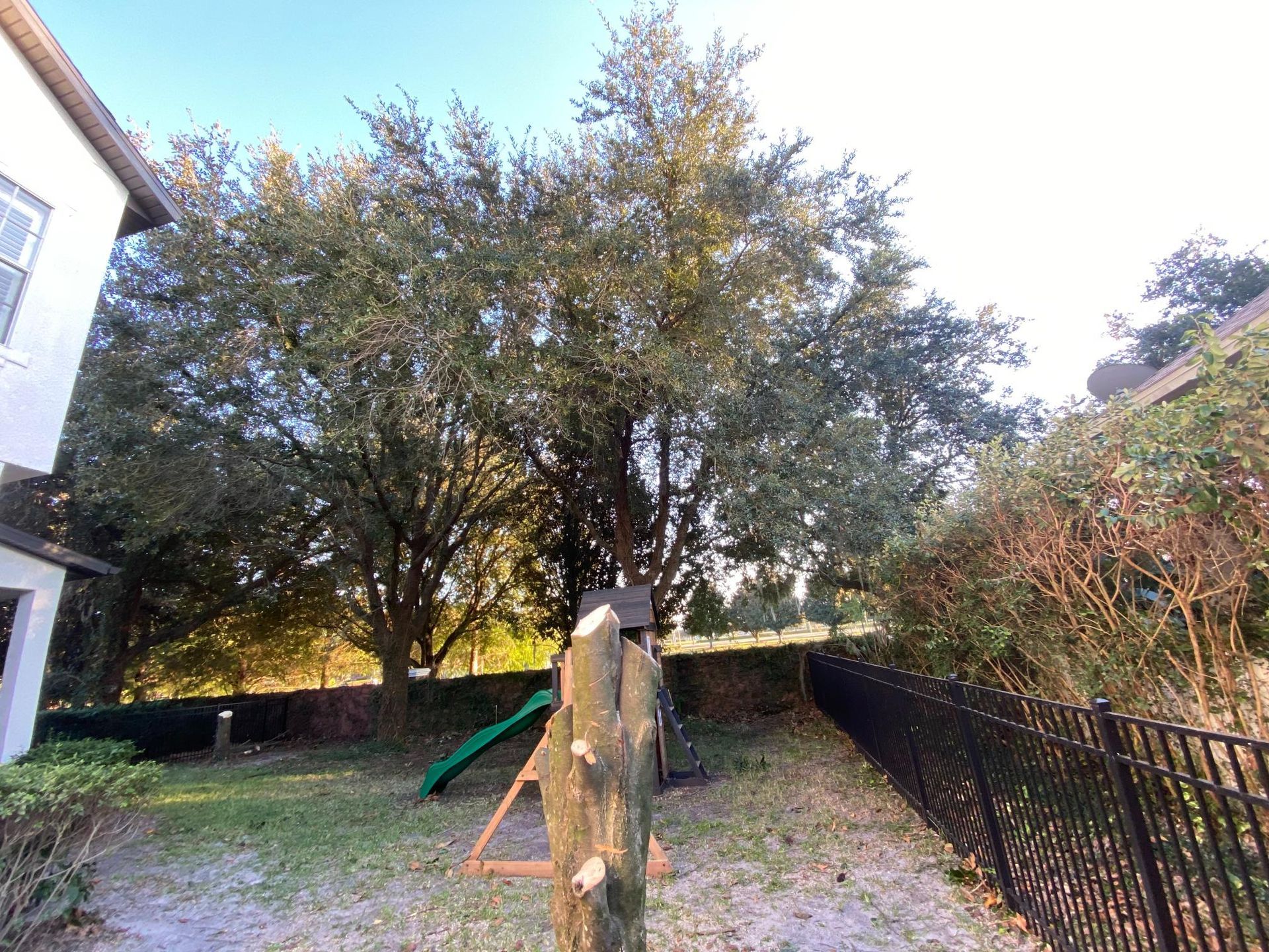 Backyard with a large tree, green slide, black fence, and part of a house.