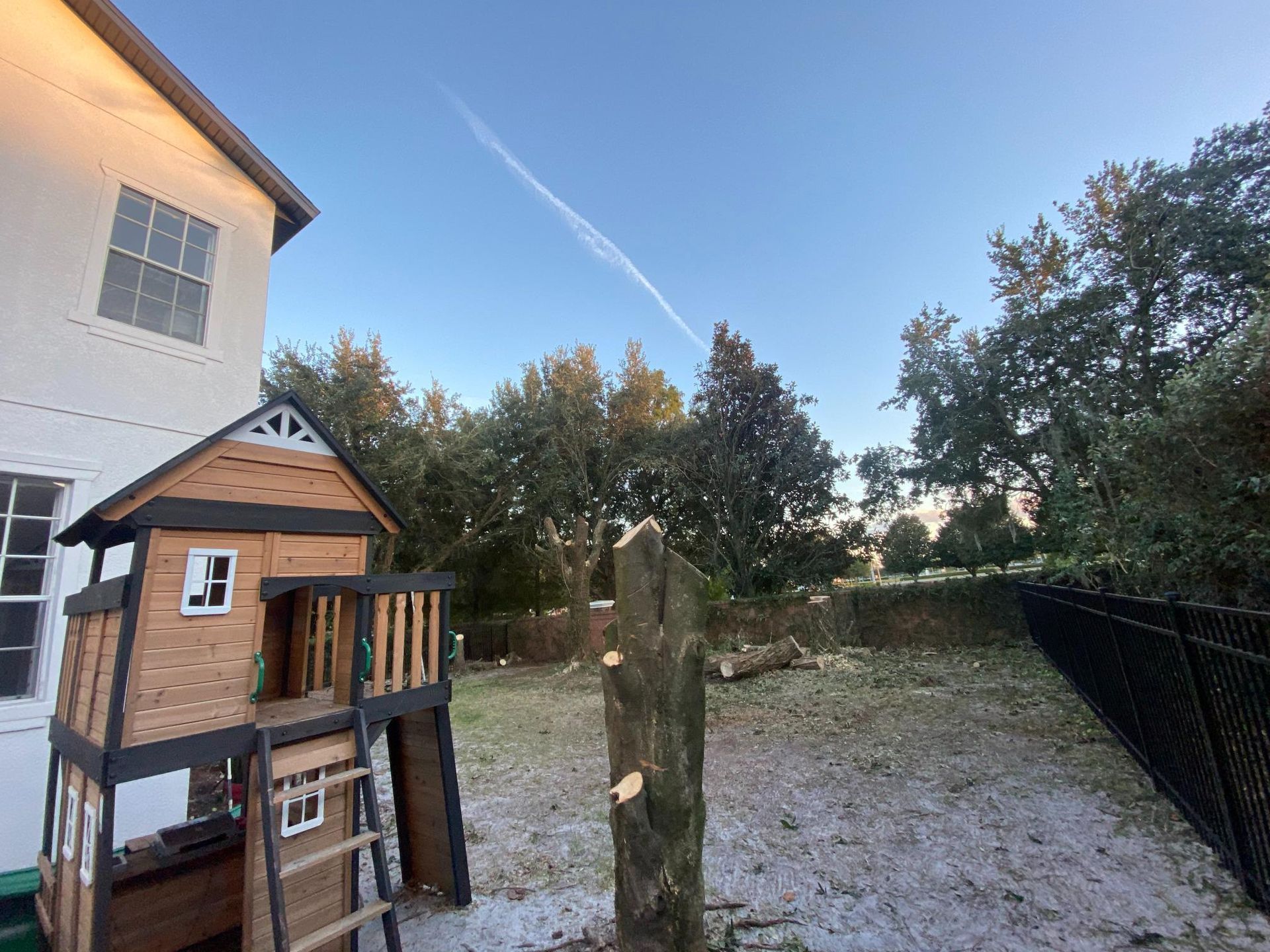 Playhouse next to a white house with a partially cut tree in a yard, black fence, and trees under a blue sky.