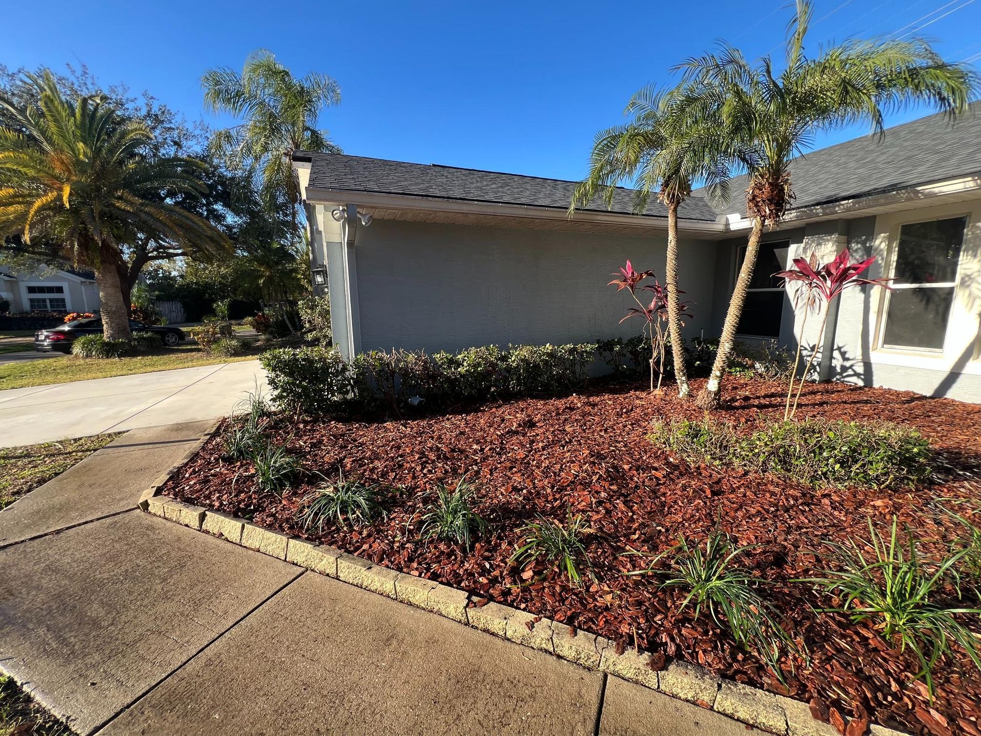 A house with a gray exterior, palm trees, and a garden bed filled with red mulch and green plants.