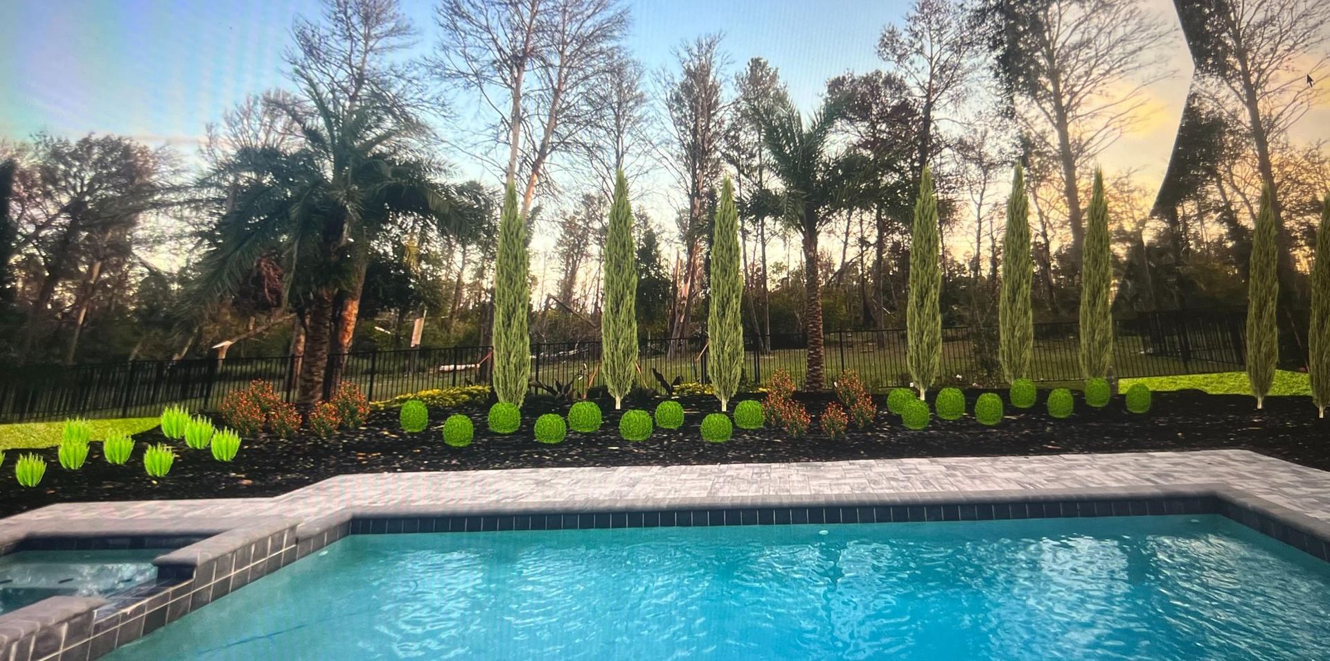 Poolside landscape with cypress trees, green shrubs, and dark mulch against a sky background.
