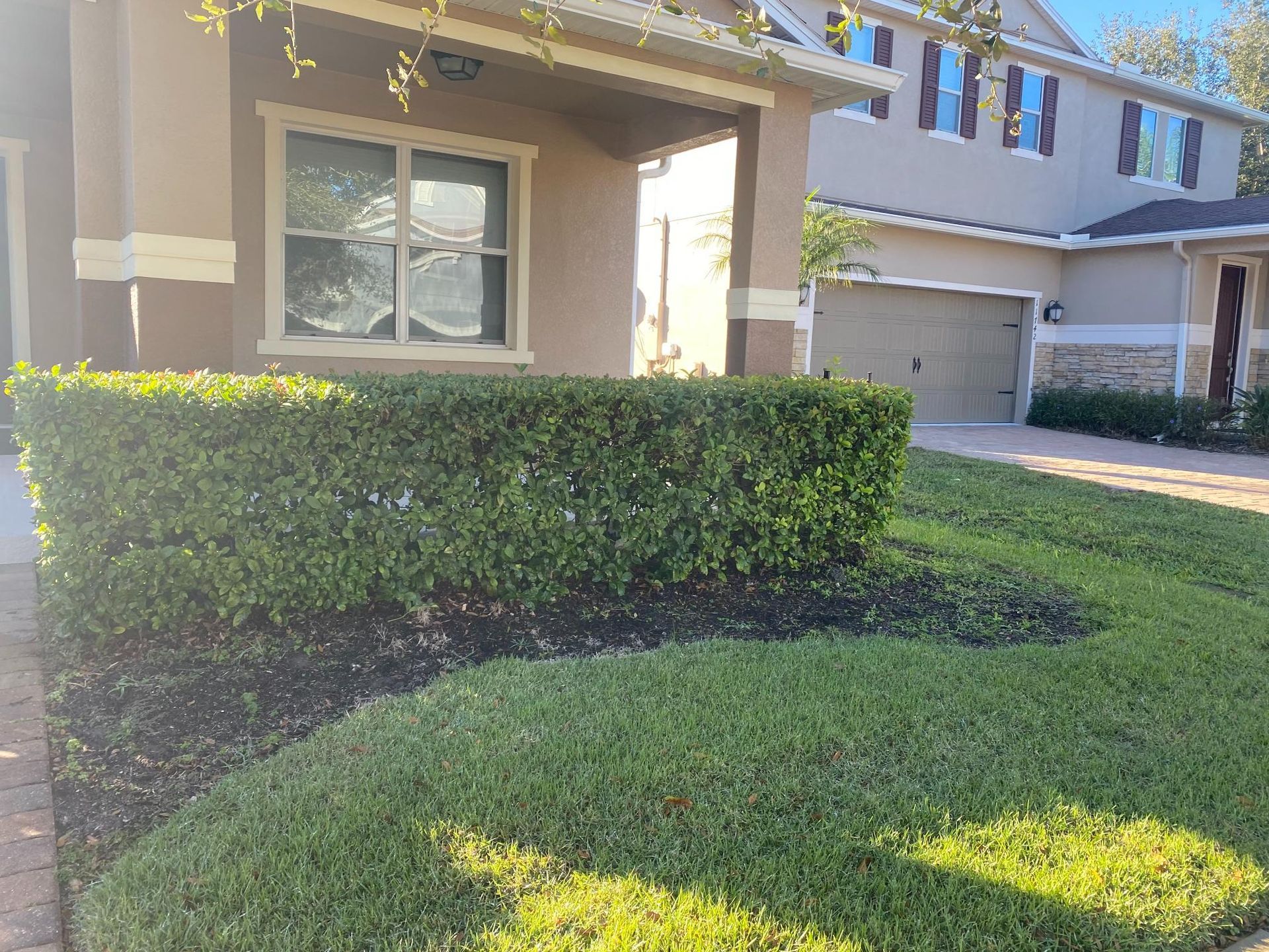 A trimmed green hedge in front of a house, with manicured lawn and tan siding.
