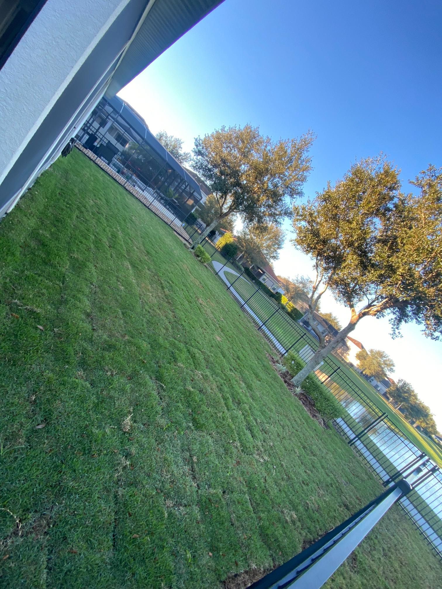 Green lawn and trees in front of a building on a sunny day.