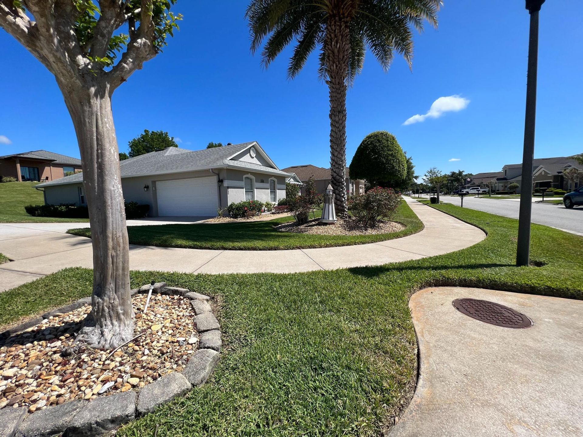 Suburban street with houses, palm trees, and curving sidewalk on a sunny day.