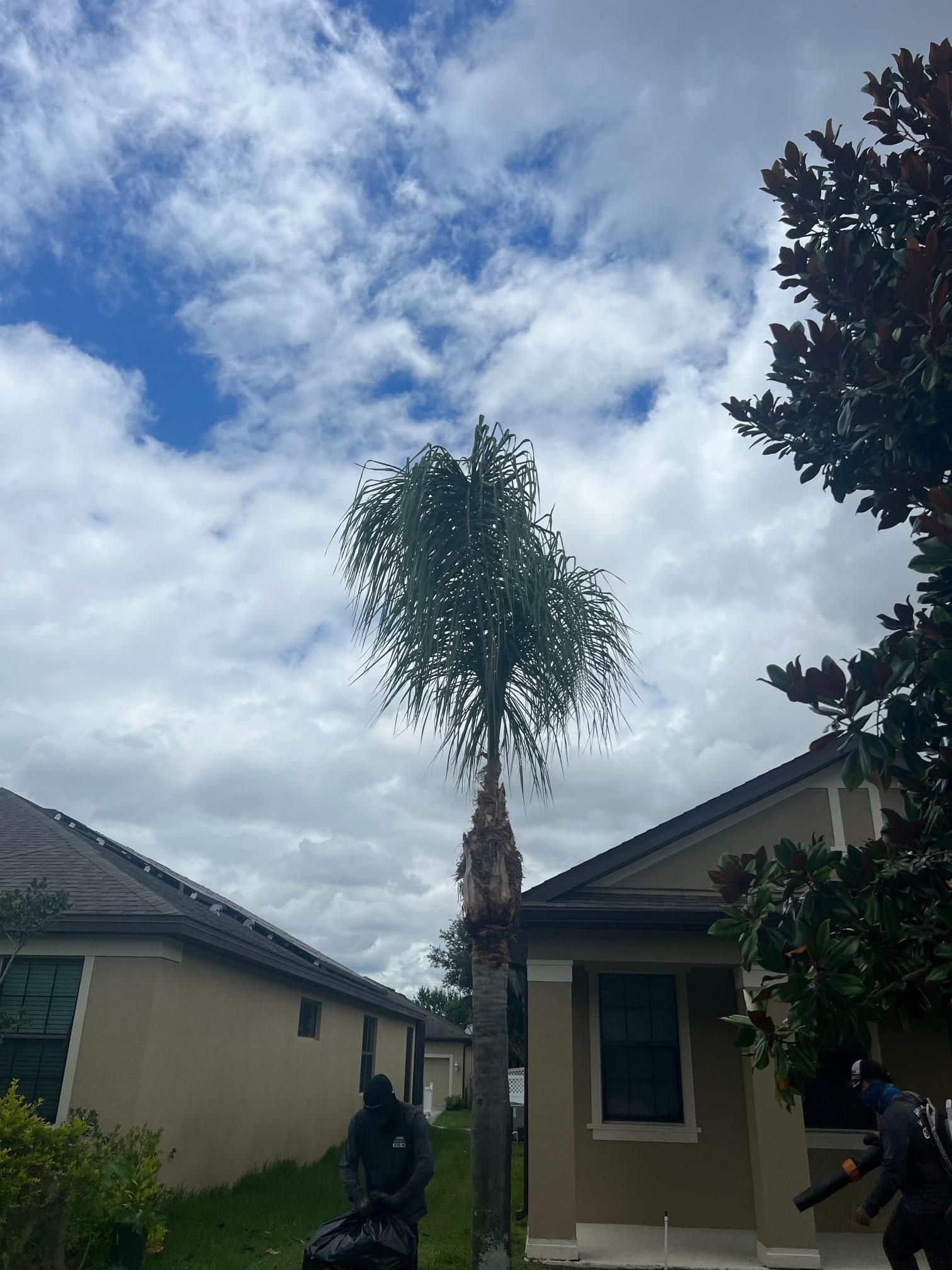 Palm tree between two tan houses under a cloudy sky.