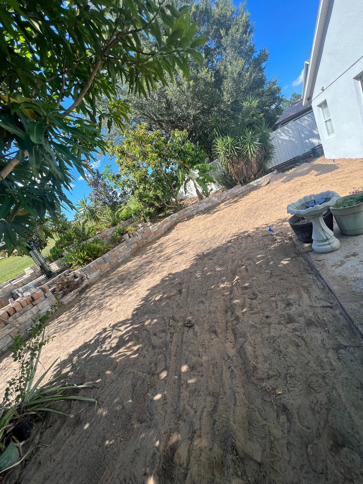 Sloped backyard with dirt, plants, and a white house.