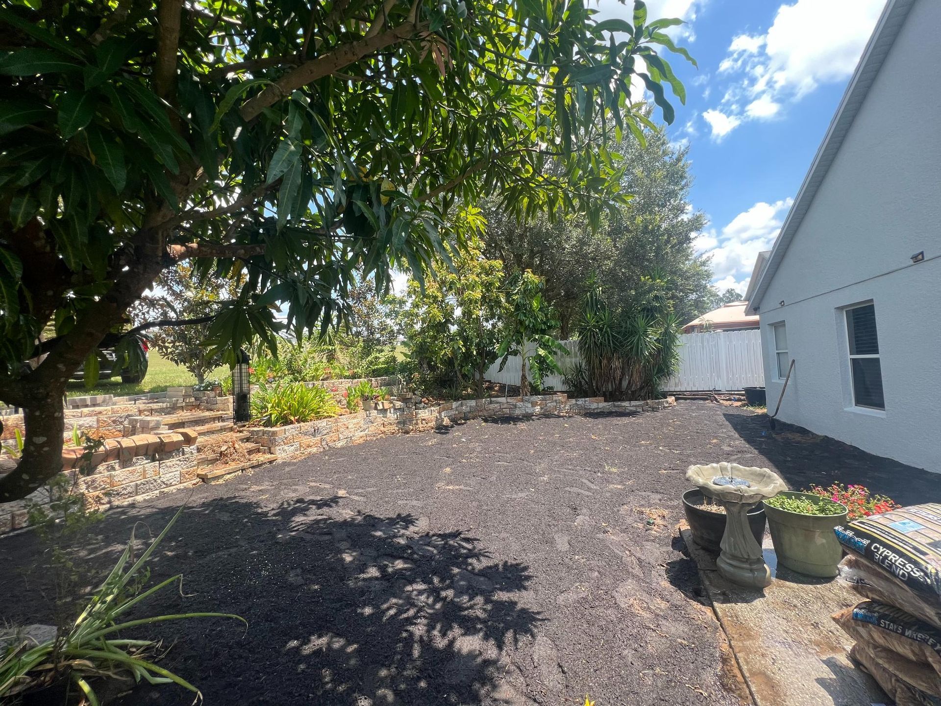 Backyard with black mulch, trees, white fence, and a birdbath under a partly cloudy sky.
