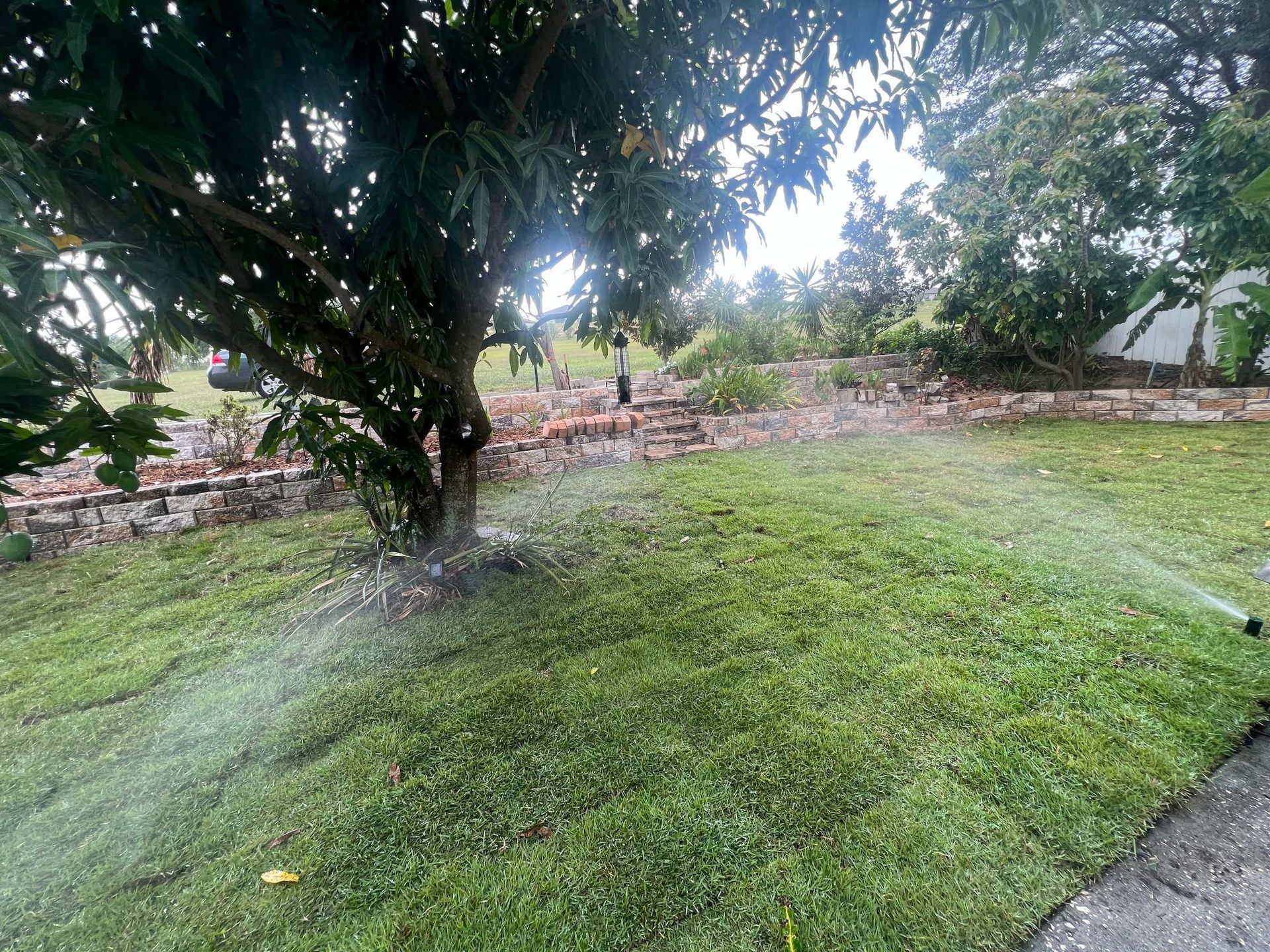 Sprinkler watering a green lawn under a tree, with a brick wall in the background.