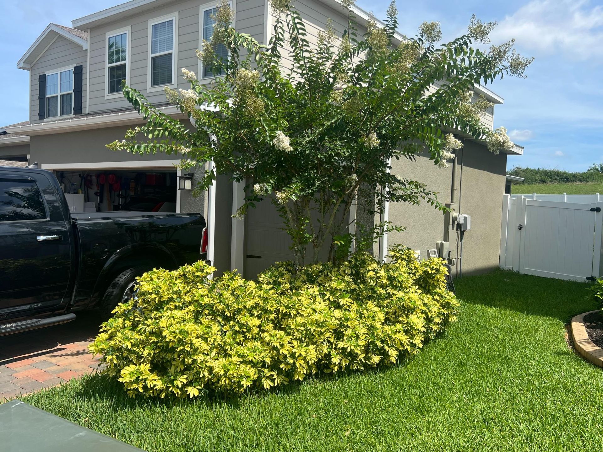 A two-story house with a black truck in the driveway, a tree, and yellow-green shrubs.