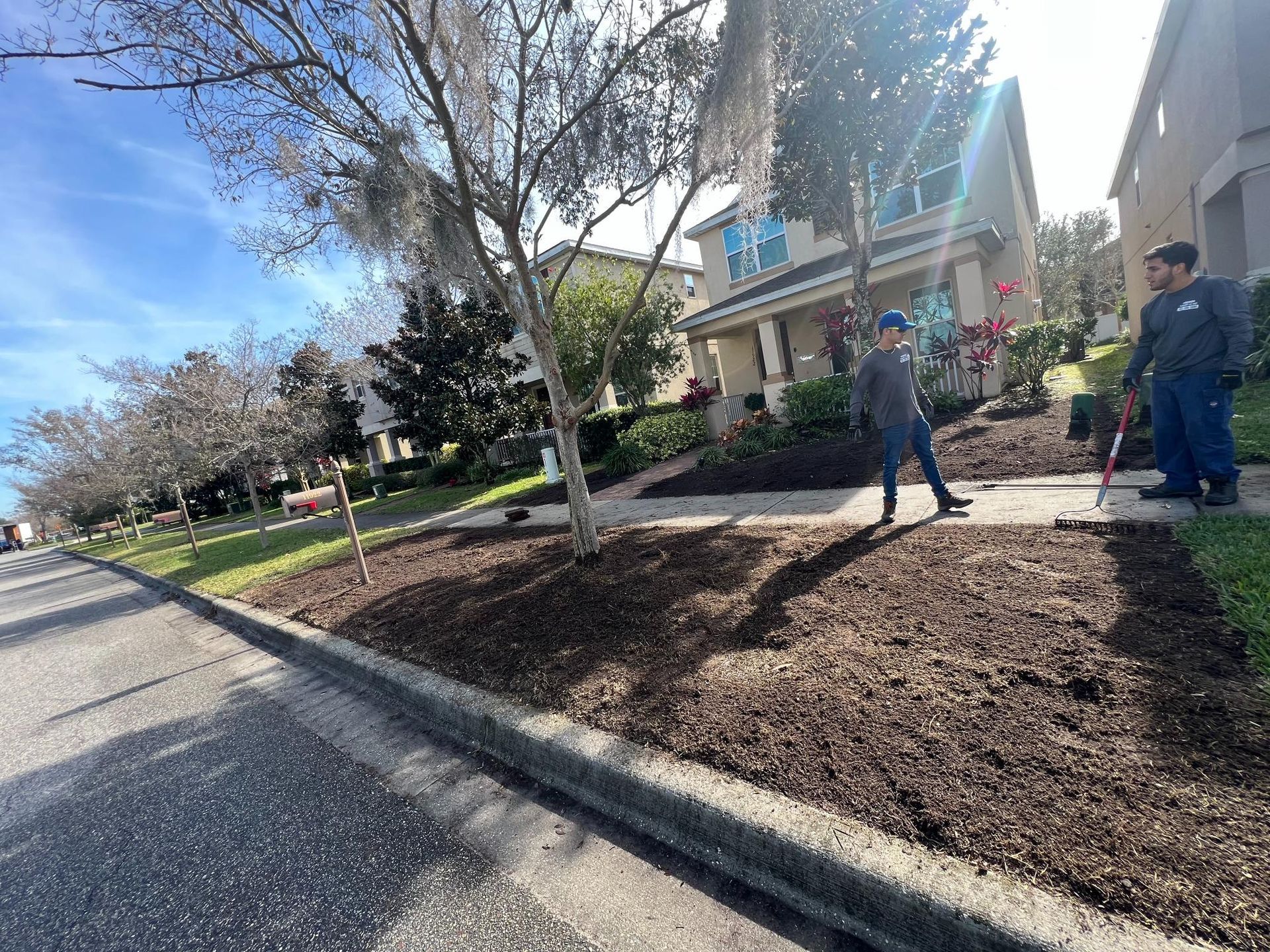 Two workers applying mulch to a landscaped yard near a sidewalk and street in front of a house.