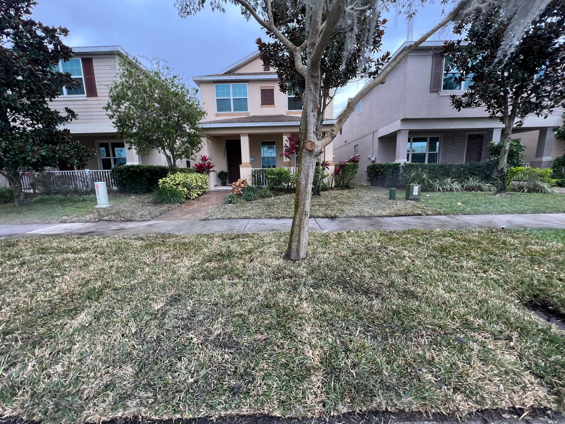 Houses with lawns and a tree on a cloudy day.