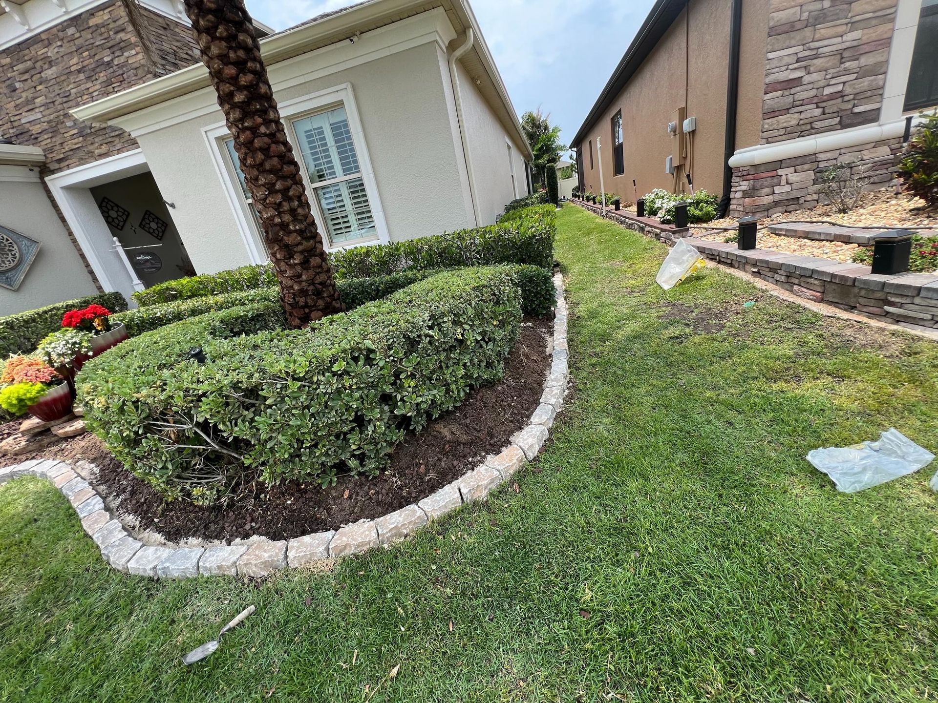 Lush green yard with manicured hedges and a palm tree in front of a light-colored house.