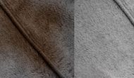 difference avant et apres le lavage des tapis après chez Push Push Propreté 