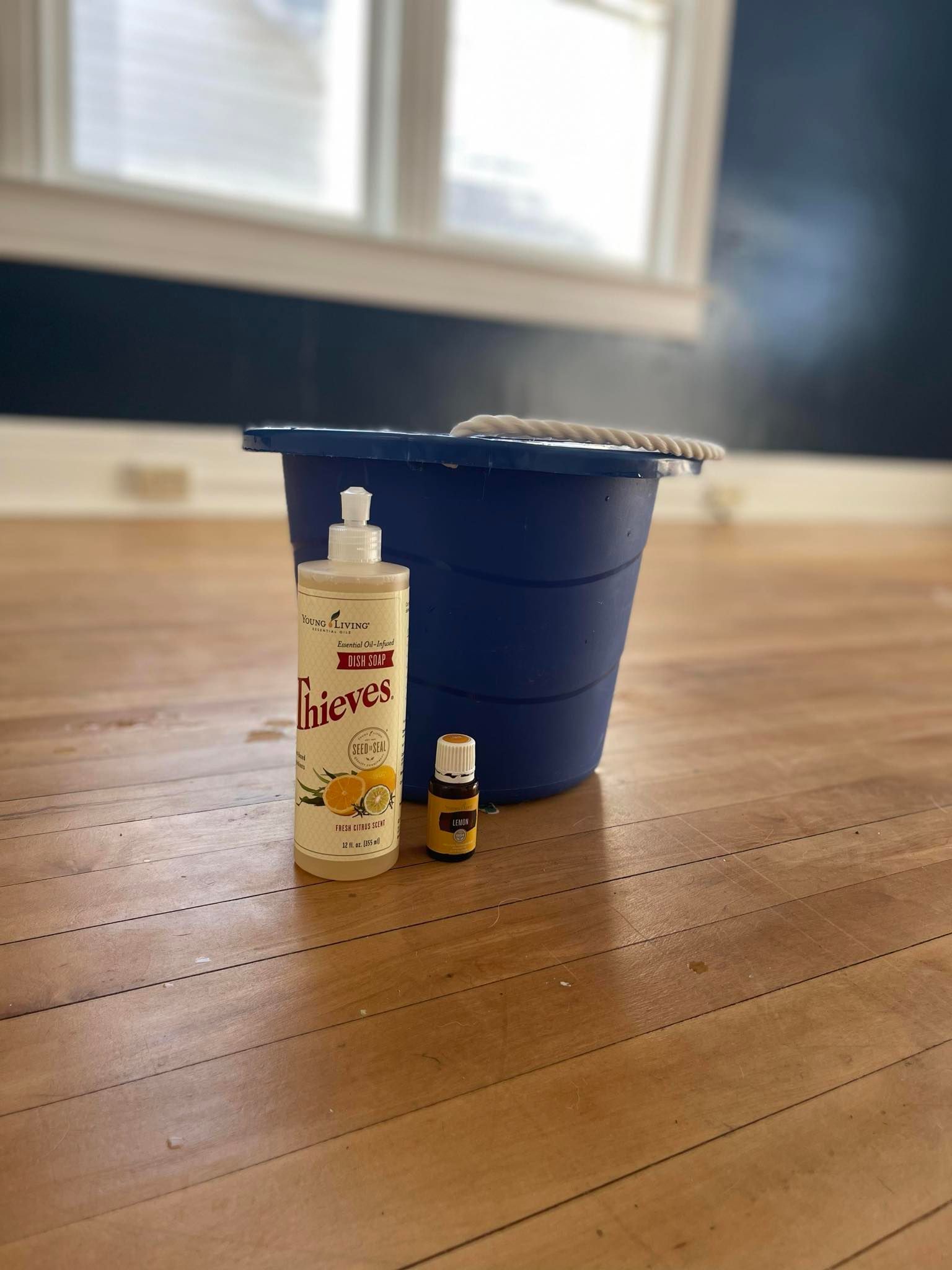 Cleaning supplies on wooden floor: bucket, mop, and bottles of cleaner. Window in background.