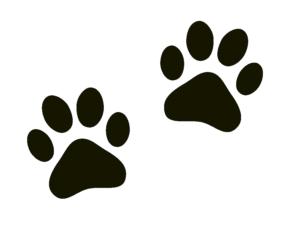 Impronte di zampe color crema, due serie, su sfondo bianco.