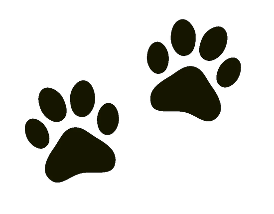 Impronte di zampe color crema, due serie, su sfondo bianco.