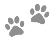 Impronte di zampe color crema, due serie, su sfondo bianco.