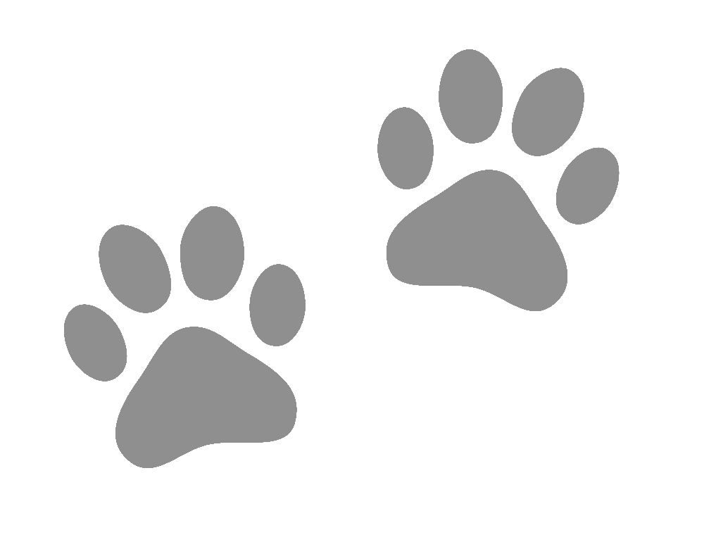 Impronte di zampe color crema, due serie, su sfondo bianco.