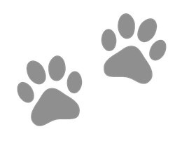 Impronte di zampe color crema, due serie, su sfondo bianco.