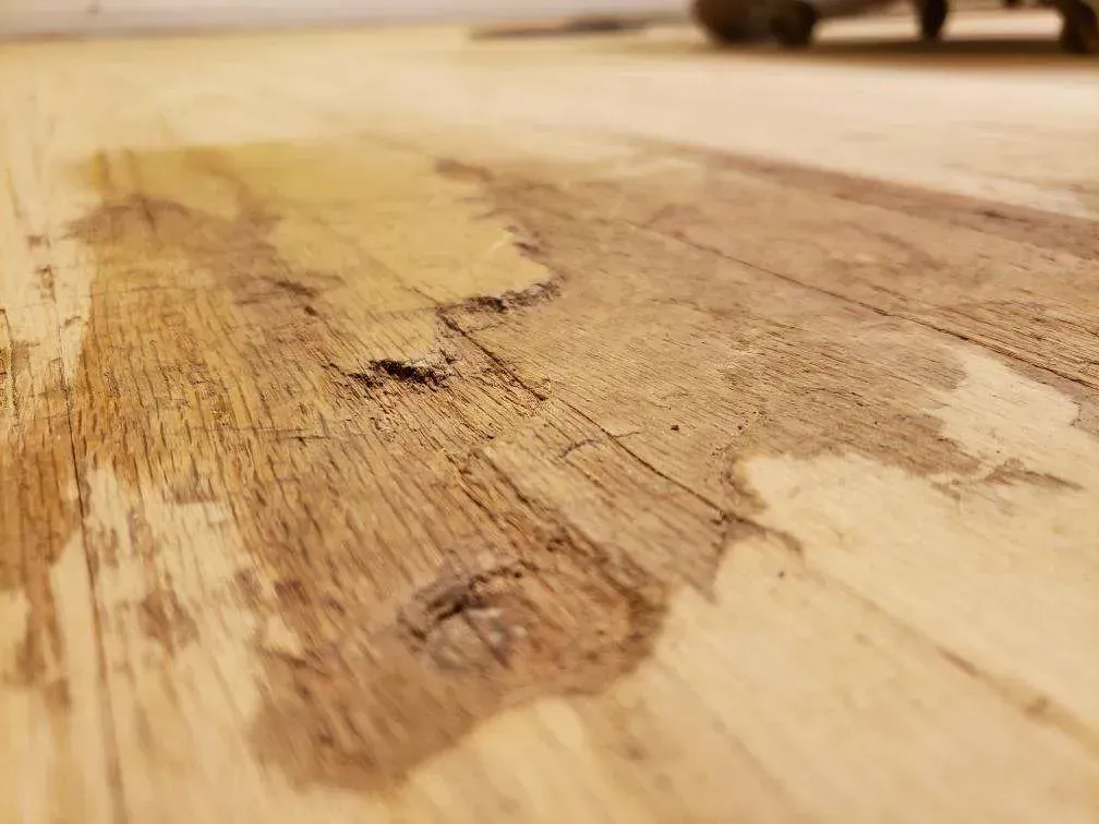 A close up of a piece of wood with a map of the world on it.