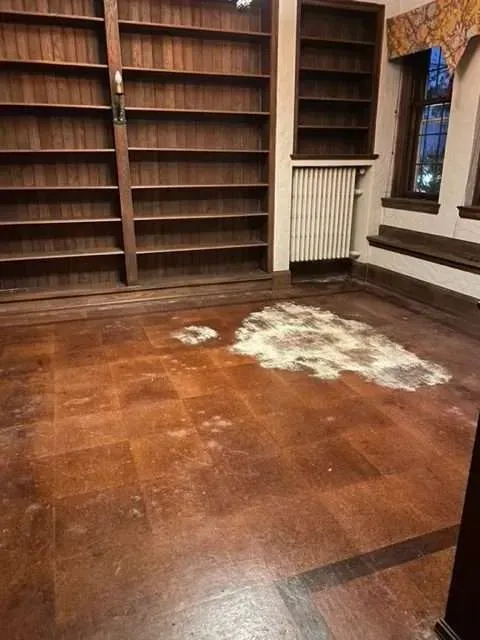 A room with a lot of shelves and a rug on the floor.